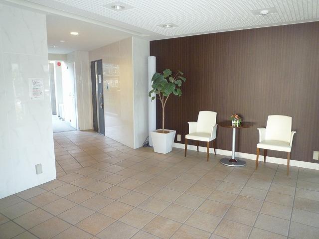 Entrance. Common areas