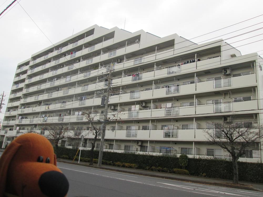 Local appearance photo