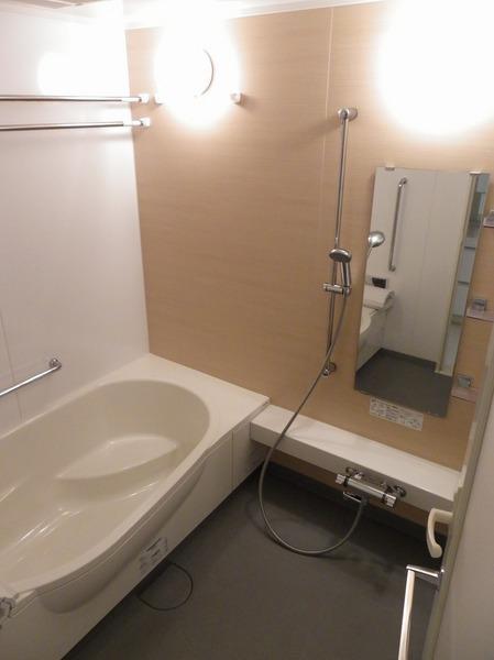 Bathroom. Local (May 2013) Shooting