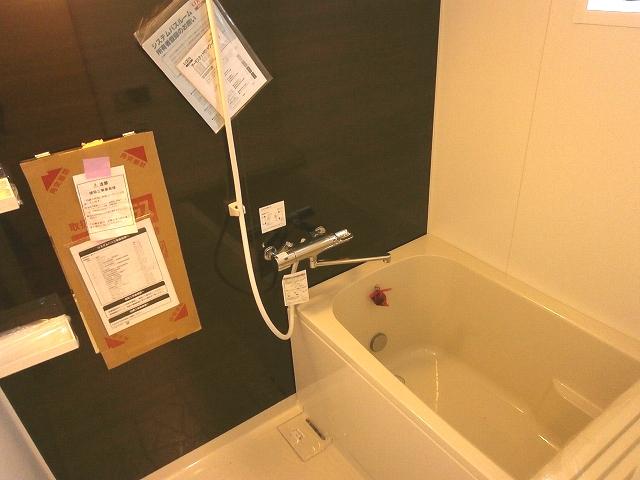 Bathroom. Indoor (11 May 2013) Shooting
