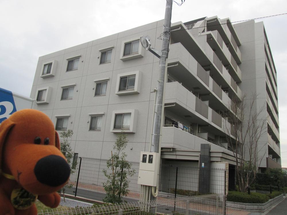 Local appearance photo