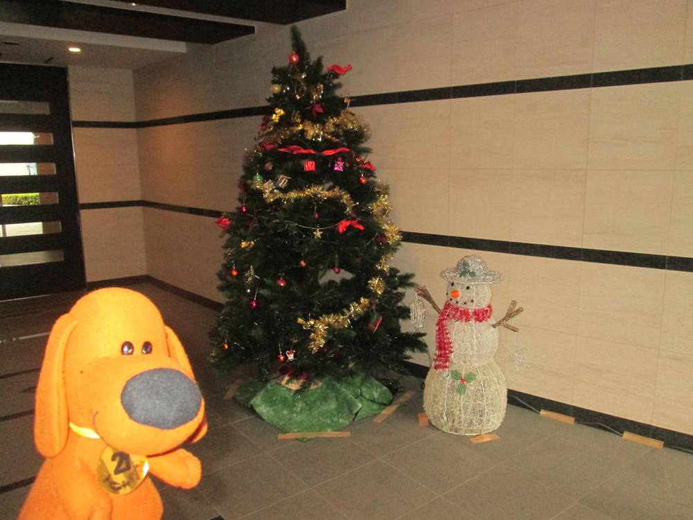 Entrance. The apartment entrance tree!