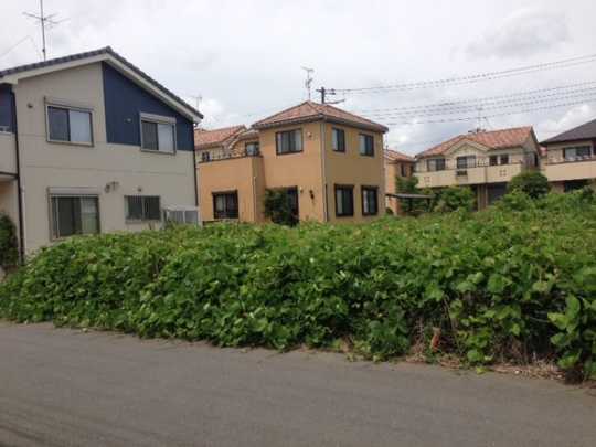 Local land photo. appearance / 2013 June shooting