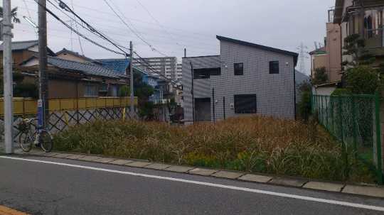 Local land photo. Shooting from southeast