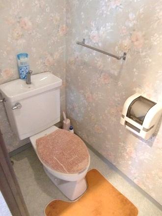 Toilet. Indoor (10 May 2012) shooting