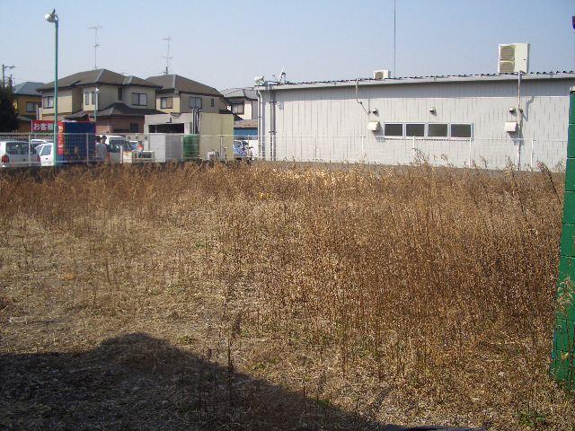 Local land photo. Local (June 2013) Shooting