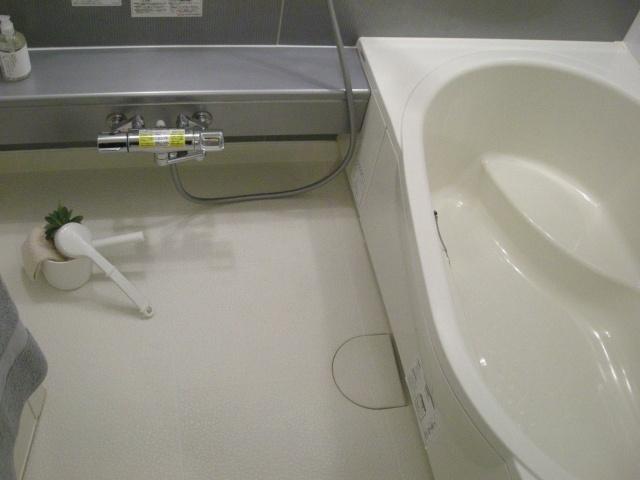 Bathroom. Bathroom with functionality and design