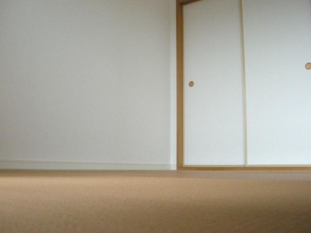 Non-living room. We offer a variety of patterns.