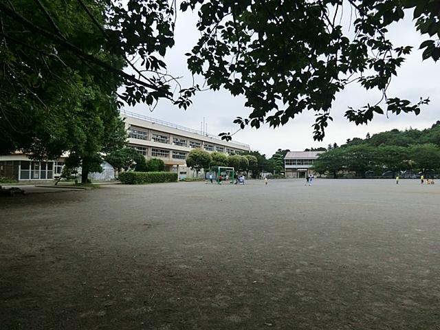 Primary school. Kashiwashiritsu Fujigokoro until elementary school 920m