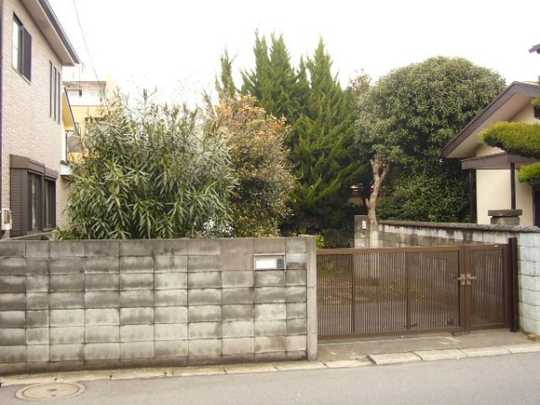 Local land photo. Local appearance