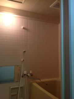 Bathroom. Indoor (10 May 2013) Shooting