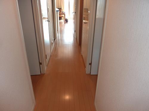 Other introspection. Corridor