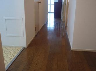 Other introspection. Hallway from the entrance Indoor (February 2012) Shooting