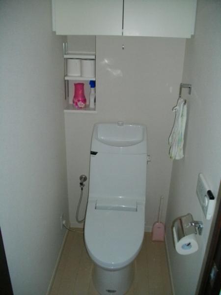 Toilet. Warm water washing toilet seat