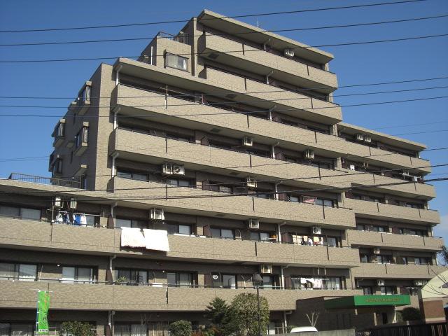 Local appearance photo. Local (March 2013) Shooting