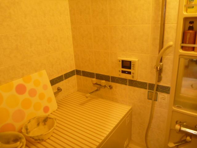 Bathroom. Indoor (March 2013) Shooting