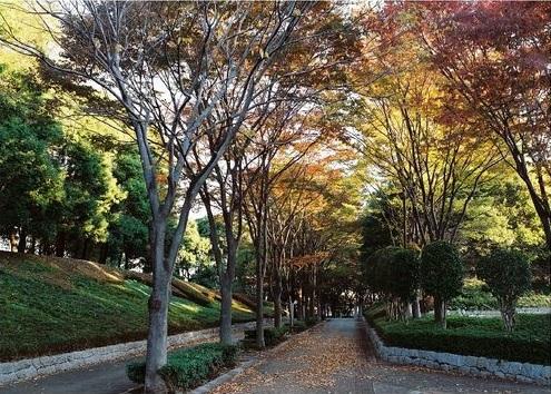 park. 1634m to the South Park