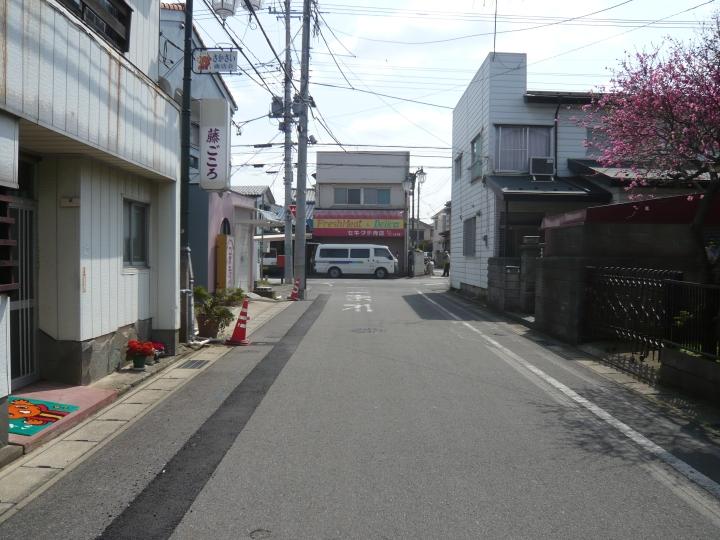 Local photos, including front road. Local (March 2013) Shooting