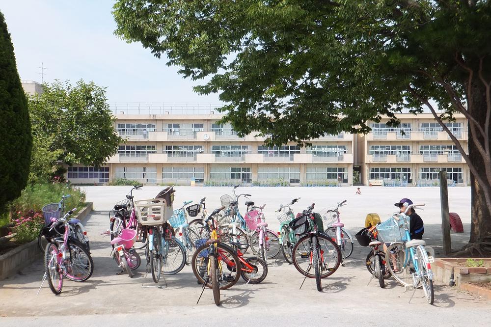 Primary school. Kashiwashiritsu pine needles first to elementary school 319m