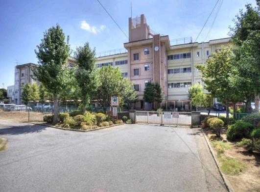 Junior high school. Kashiwashiritsu Kashiwadai 800m up to five junior high school