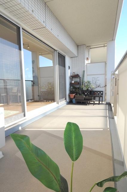 Balcony. From the window of the large opening, Bright day