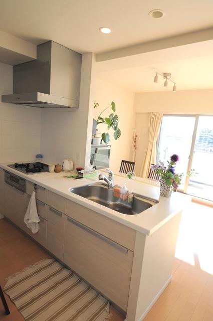 Kitchen. Disposer with face-to-face kitchen.