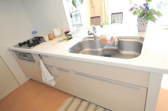 Other Equipment. With disposer