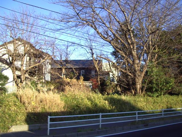 Local land photo. Local (12 May 2013) is a shooting day boast of property! 