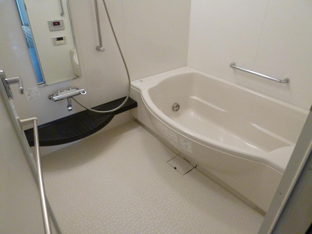 Bathroom. Indoor (November 14, 2013) Shooting