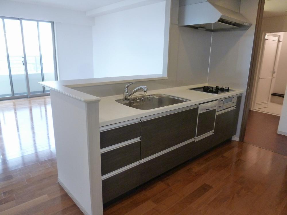 Kitchen. Indoor (November 14, 2013) Shooting