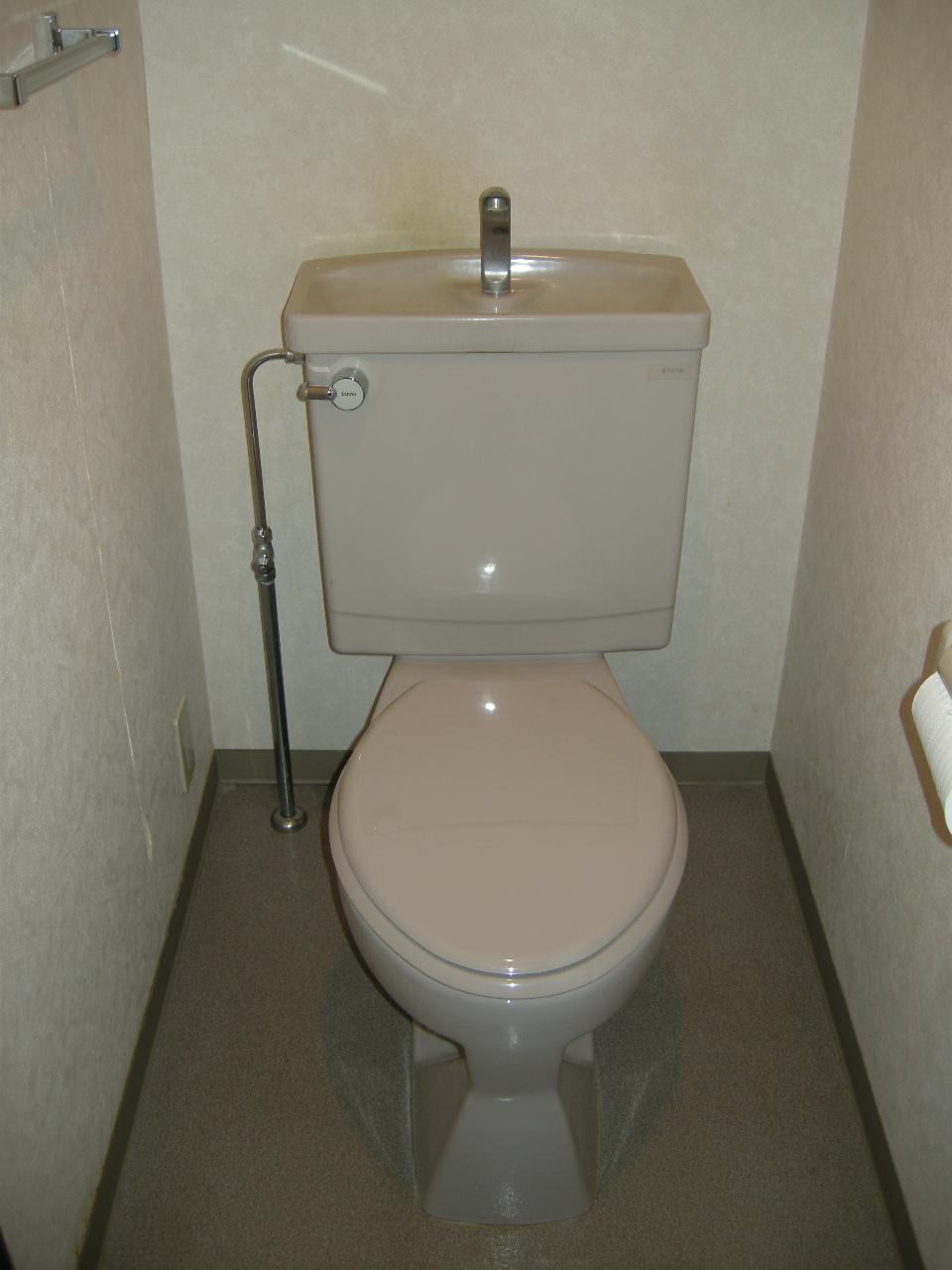 Toilet