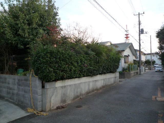 Local land photo. Local (12 May 2013) Shooting