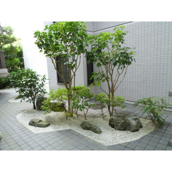 Other common areas