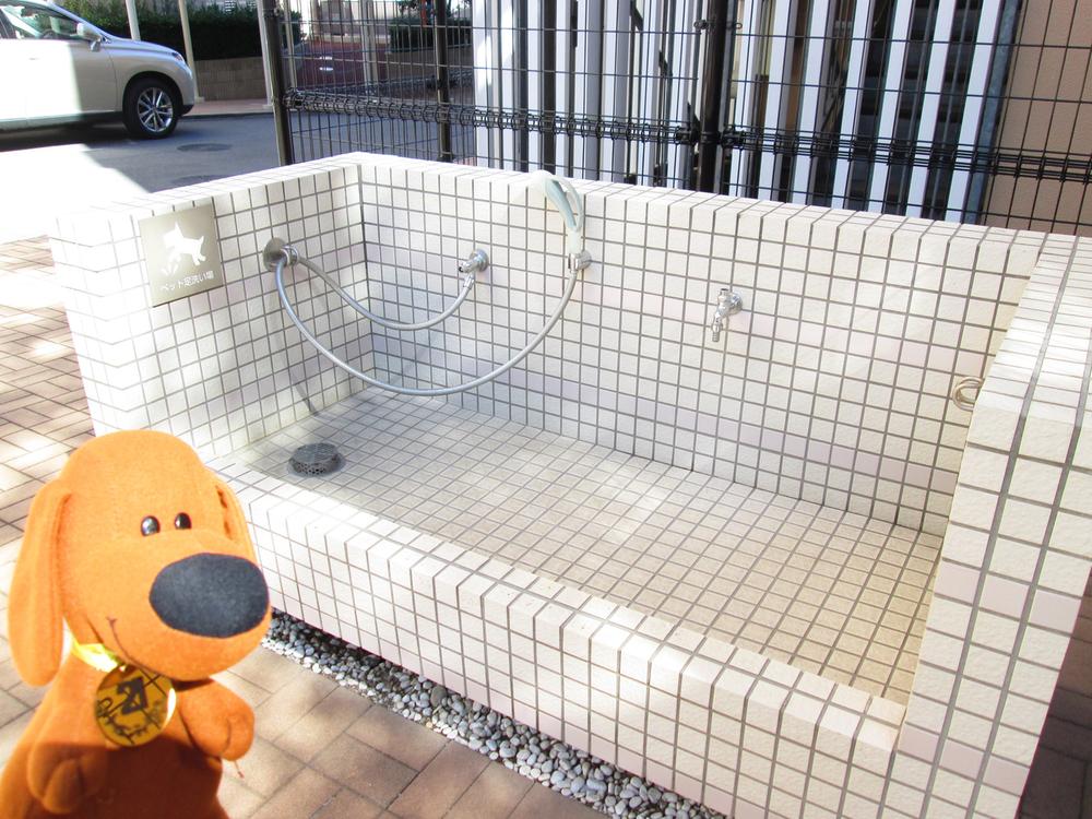 Other common areas. There is a pet of foot washing place