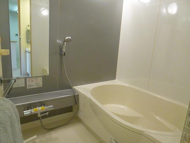 Bathroom. Indoor (November 1, 2013) Shooting