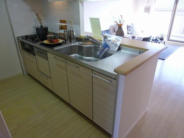 Kitchen. Indoor (November 1, 2013) Shooting