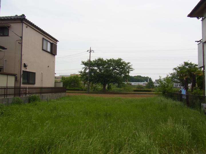 Local land photo. Local (May 2013) Shooting