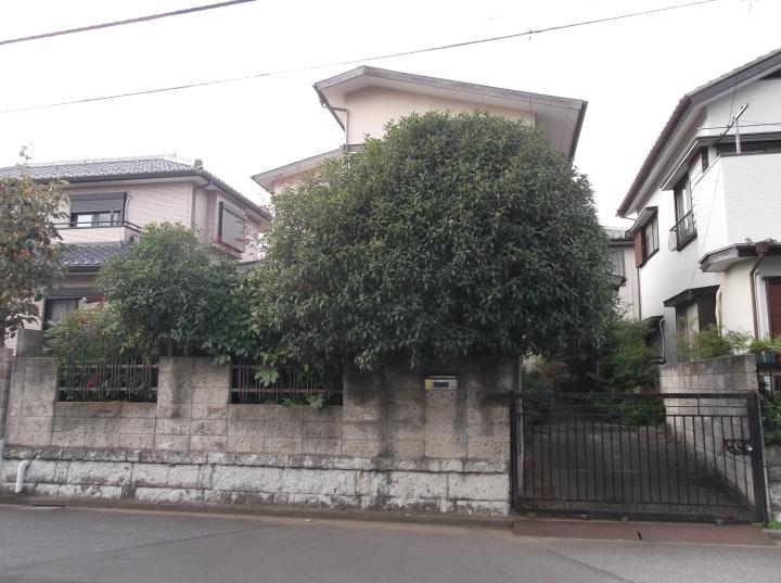 Local land photo. Local (11 May 2013) Shooting