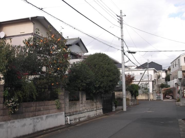 Local photos, including front road. Local (11 May 2013) Shooting