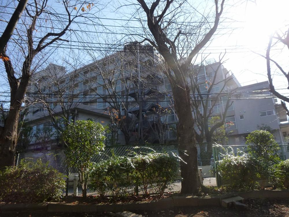 Kashiwa City, Chiba Prefecture Akebono 2