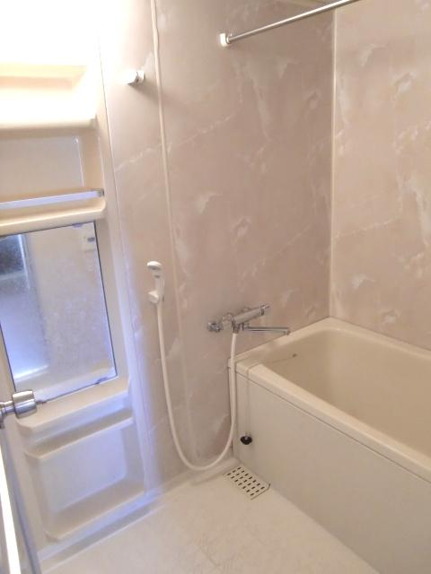 Bathroom. Indoor (12 May 2012) shooting