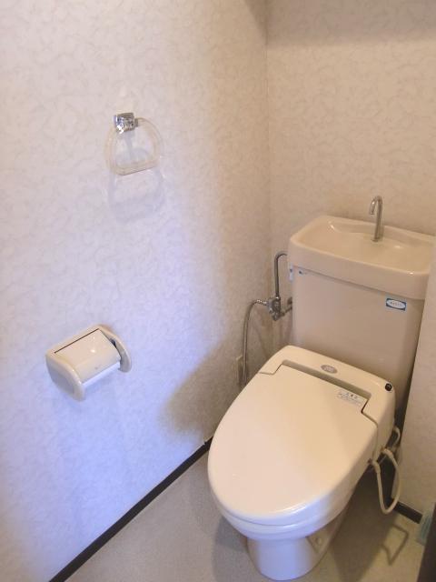 Toilet. Indoor (12 May 2012) shooting