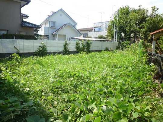 Local land photo. local