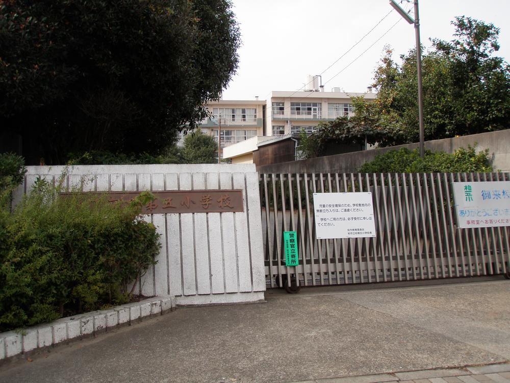 Other. Fifth elementary school