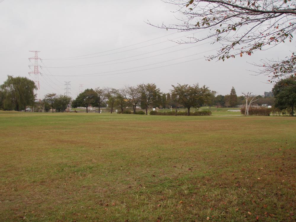 Other. Neighborhood, park