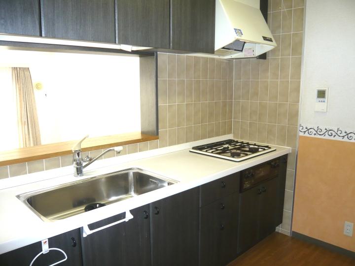 Kitchen. Indoor (12 May 2013) Shooting