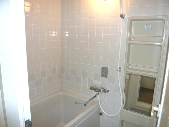 Bathroom. Indoor (12 May 2013) Shooting