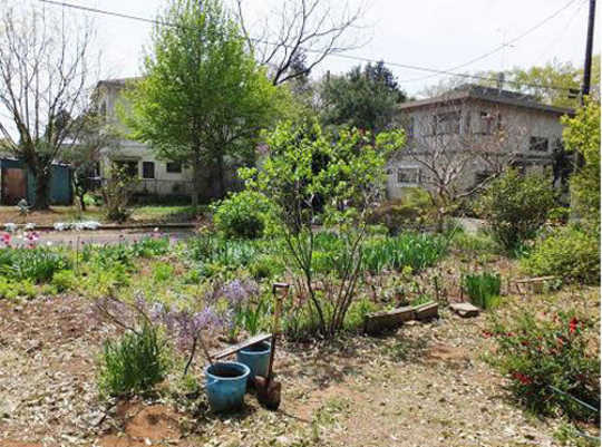 Local land photo. appearance