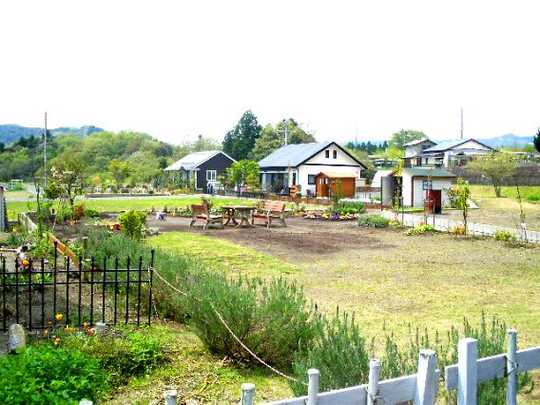 Other local. Landscape in the subdivision