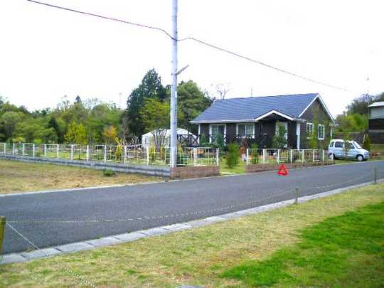 Other local. Landscape in the subdivision